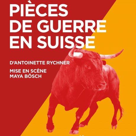 photo associée à l'événement Pièces de guerre en Suisse