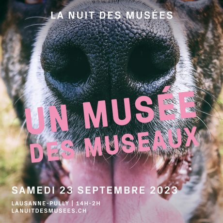 photo associée à l'événement 22e nuit des Musées de Lausanne et Pully