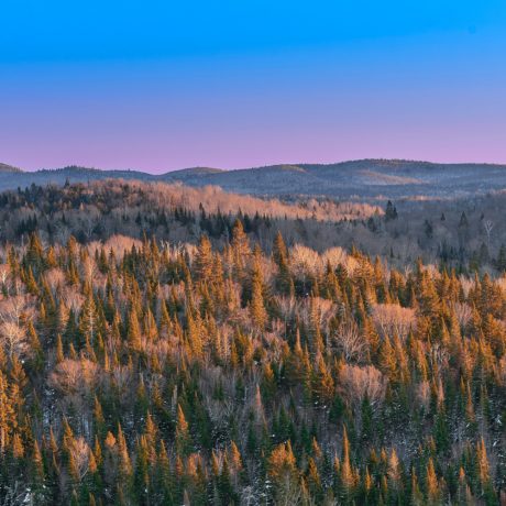 photo associée à l'événement Regards sur le Québec