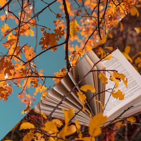 photo associée à l'événement Soirée coups de cœur de vos libraires